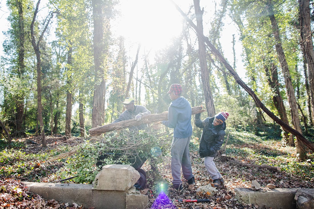 Volunteers clearing brush in a beam of sunlight.