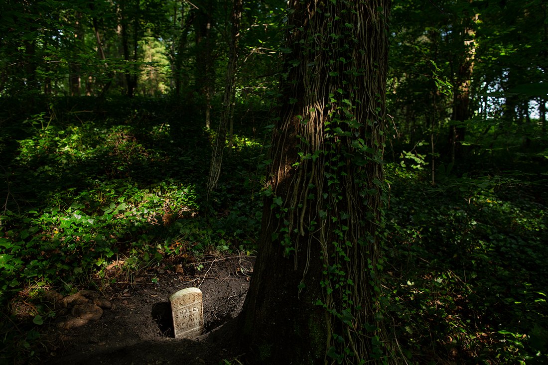 A small reset stone at the base of a tree.